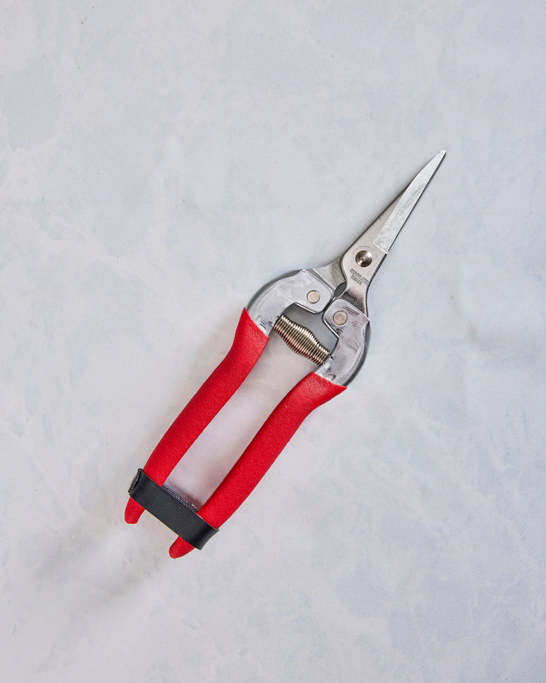 Garden of Paradise - Compact Garden Shears - Womanswork - Printfresh