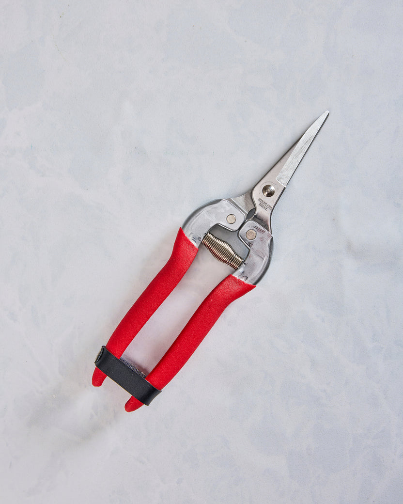 Garden of Paradise - Compact Garden Shears - Womanswork - Printfresh