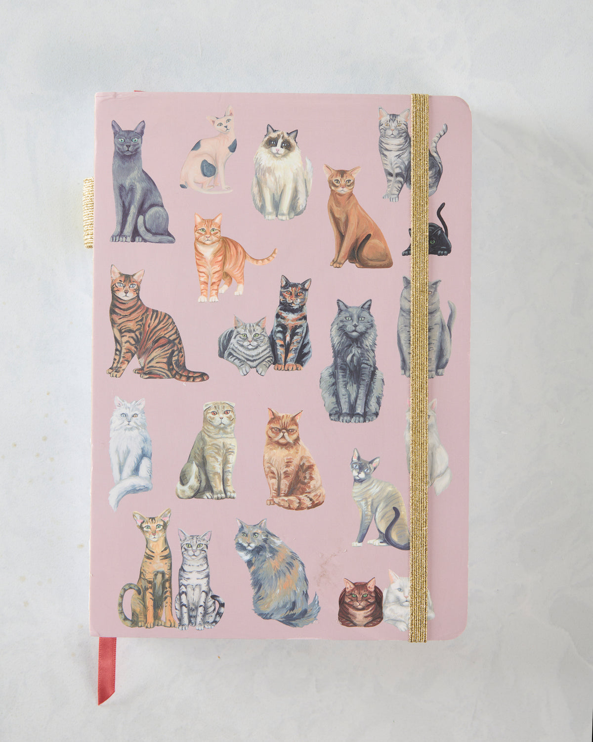 Front cover of a pink journal decorated with illustrated cats and a gold elastic closure.