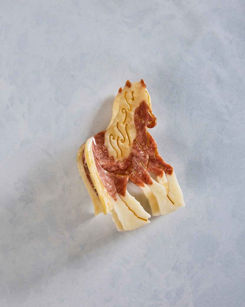 Brown Combo - Hand Painted Horse Claw Clip - Solar Eclipse - Printfresh