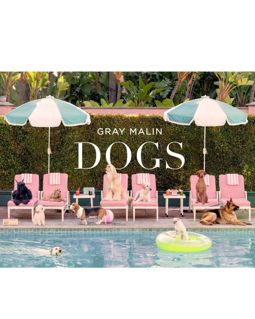 Multi - Gray Malin: Dogs - Abrams - Printfresh