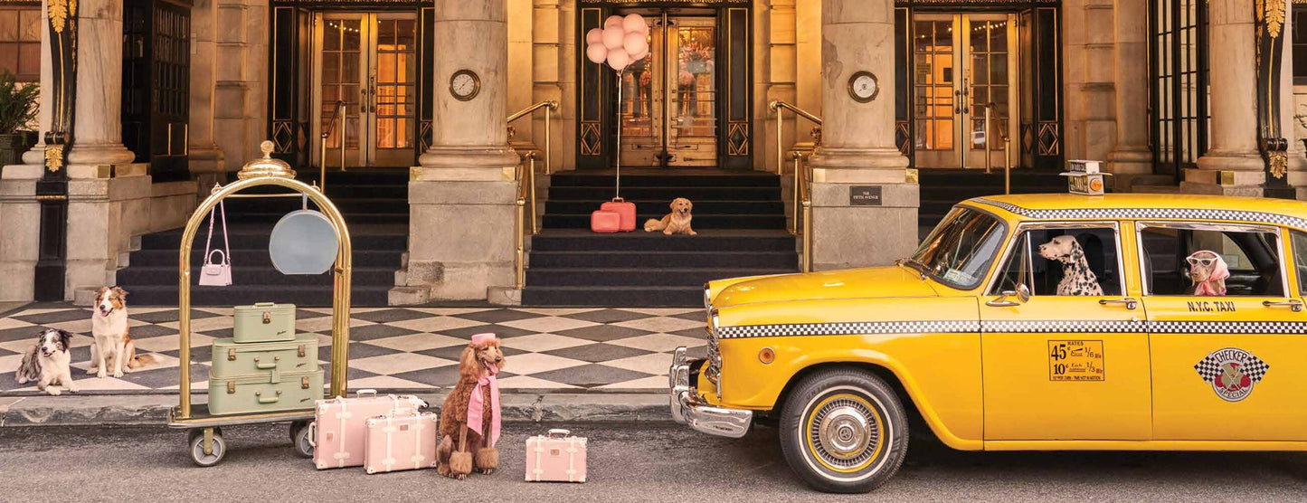 Multi - Gray Malin: Dogs - Abrams - Printfresh