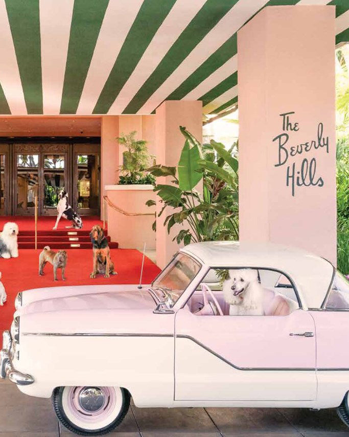 Multi - Gray Malin: Dogs - Abrams - Printfresh