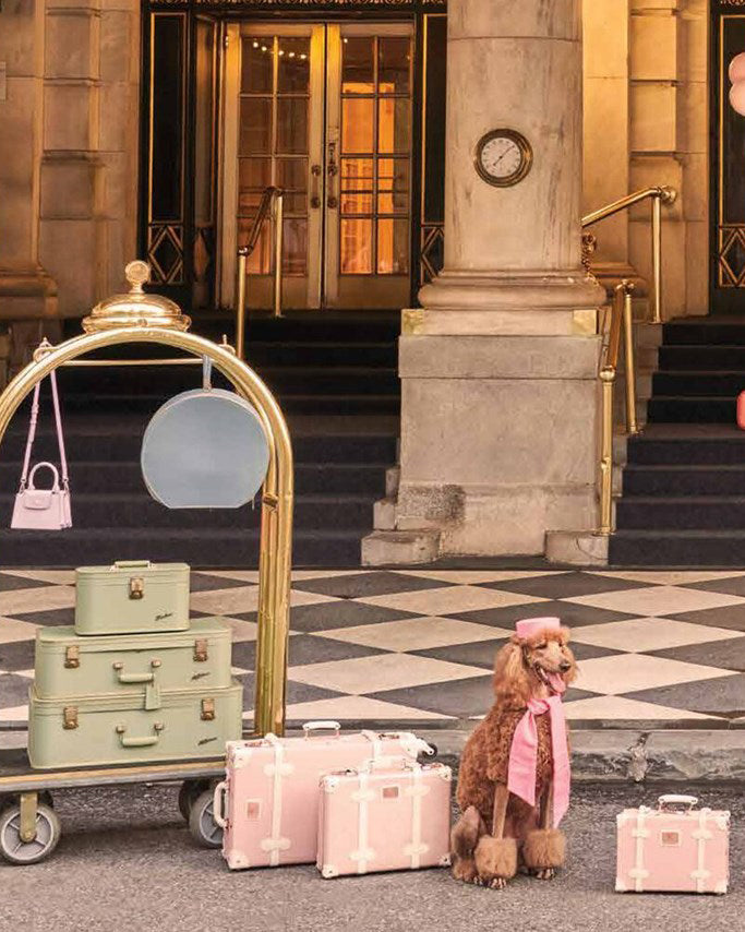 Multi - Gray Malin: Dogs - Abrams - Printfresh