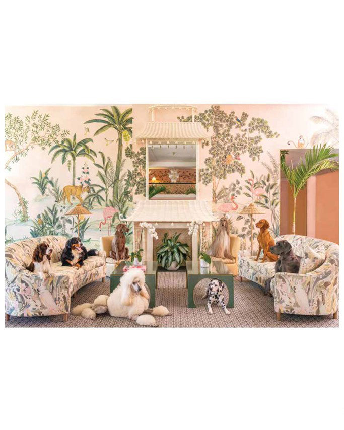 Multi - Gray Malin: Dogs - Abrams - Printfresh