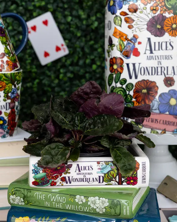 Multi - Stacked Books Planter - Steel Mill and CO. - Printfresh