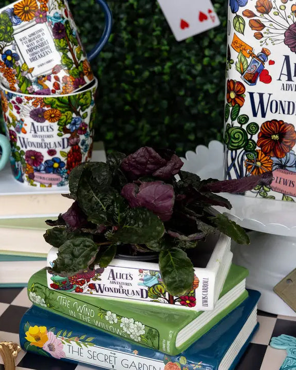 Multi - Stacked Books Planter - Steel Mill and CO. - Printfresh