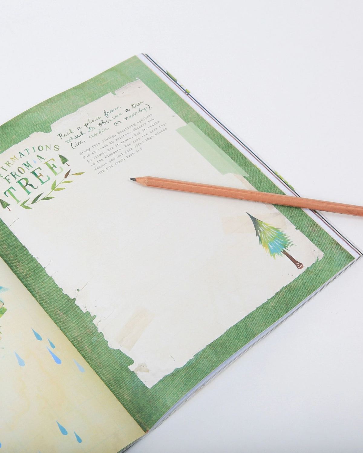 Open Wildflower's Workbook with a handwritten prompt, illustrated pages, and a pencil.