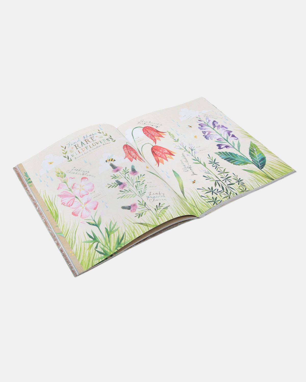 Open Wildflower's Workbook displaying illustrated wildflowers, leaves, grasses, and bees across both pages.