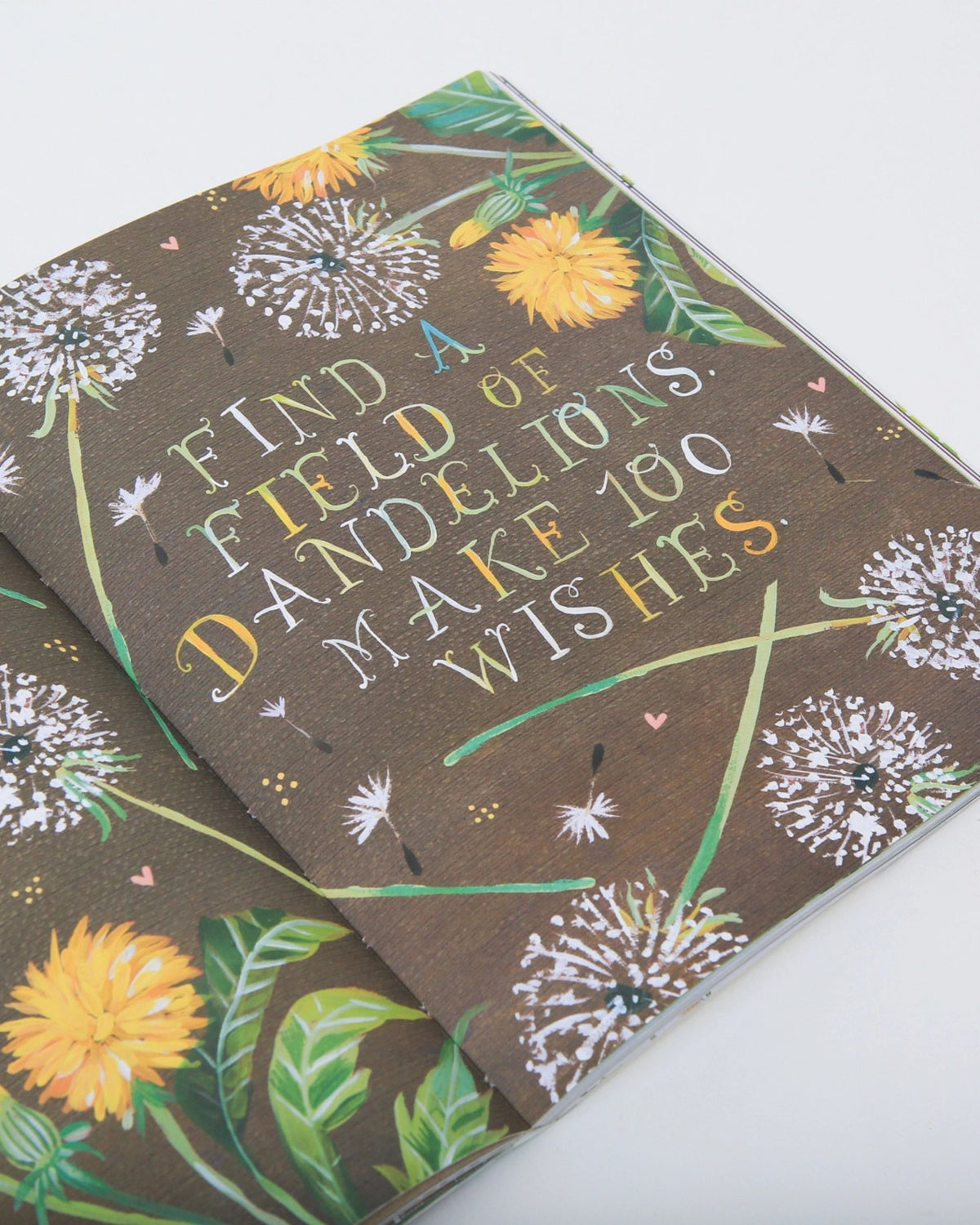 Wildflower's Workbook page reading “Find a field of dandelions and make 10 wishes,” surrounded by dandelion and flower illustrations.