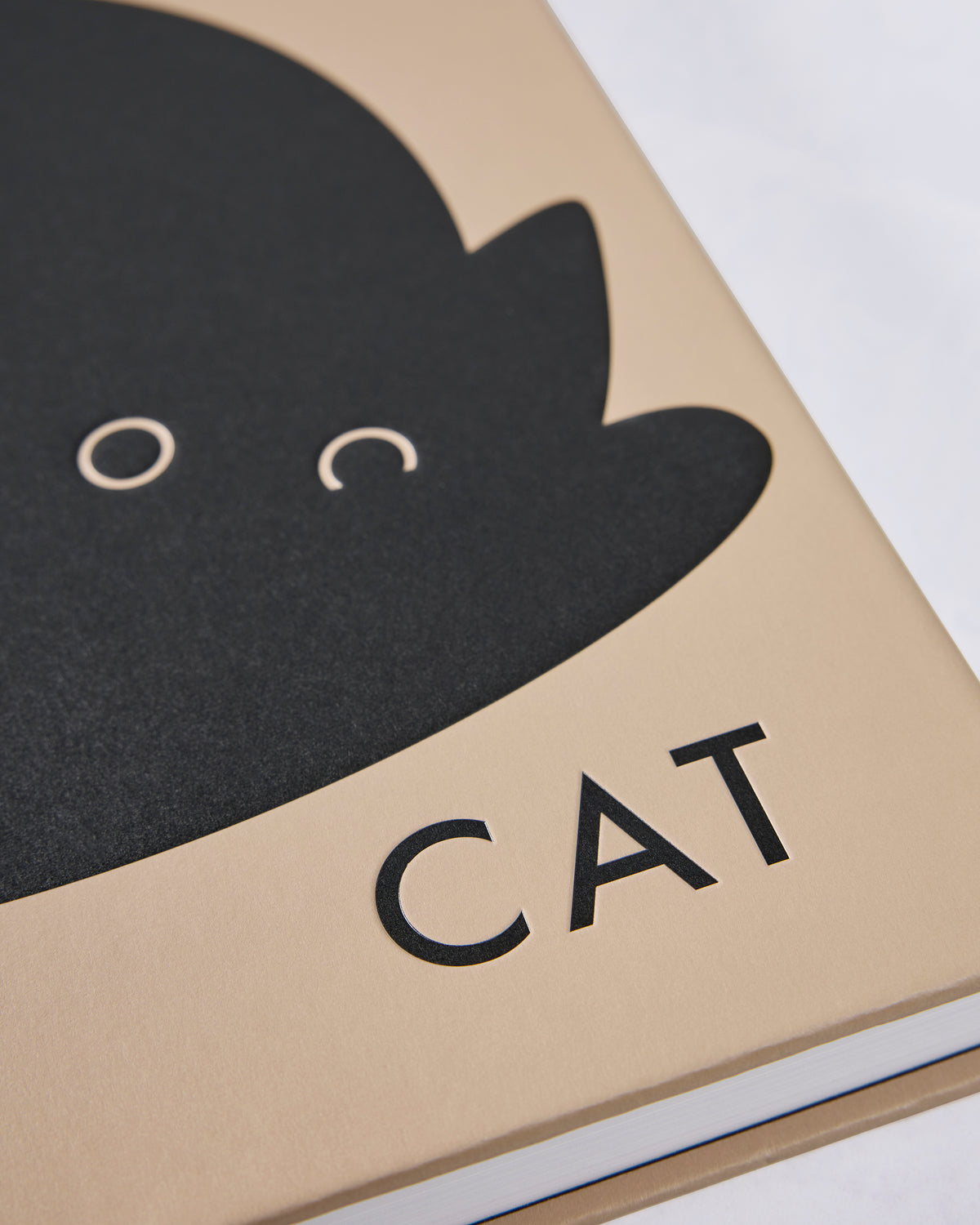 Close-up of the tan book cover showing part of the black cat silhouette and the title “CAT.”