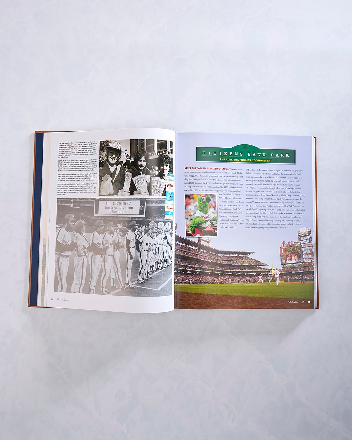 Toasted Brown - Ballparks Past and Present - Graphic Image Inc.