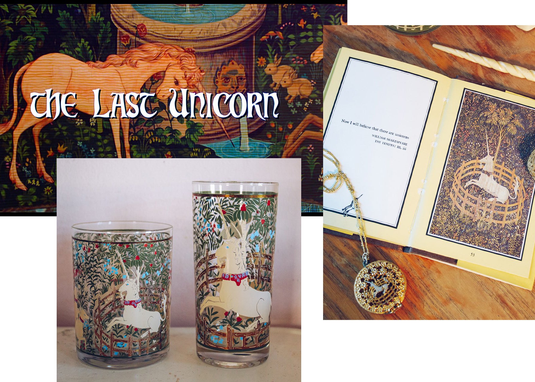 Unicorn's Garden: Inspiration & History