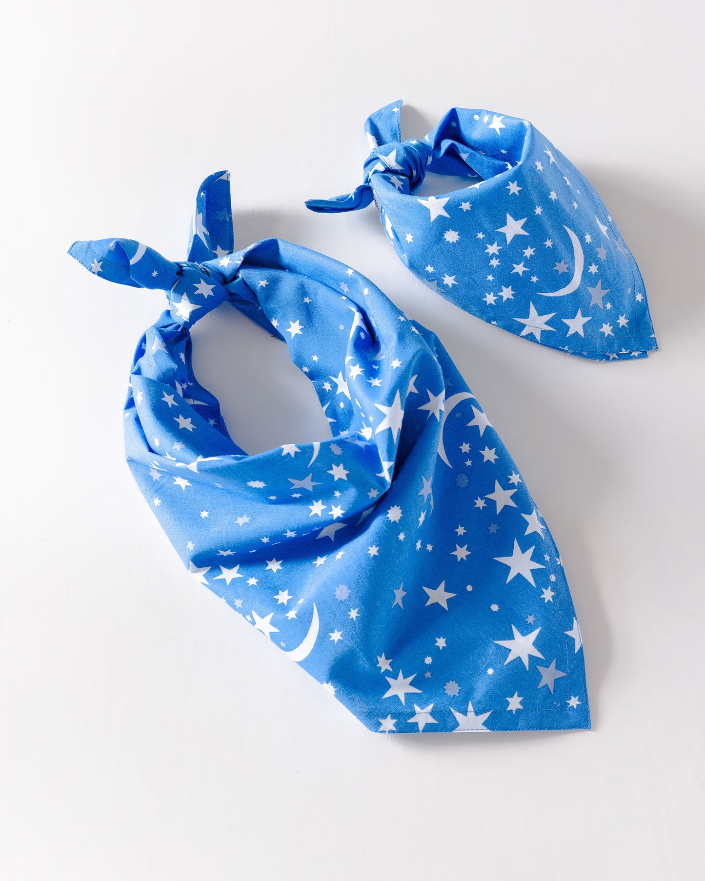 Celestial Skies - Pet Bandana - Beyond the Sea - Printfresh