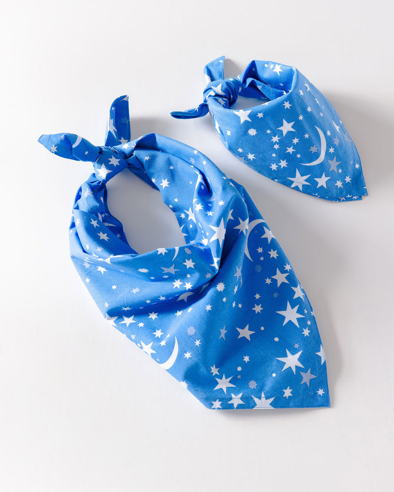 Celestial Skies - Pet Bandana - Beyond the Sea - Printfresh