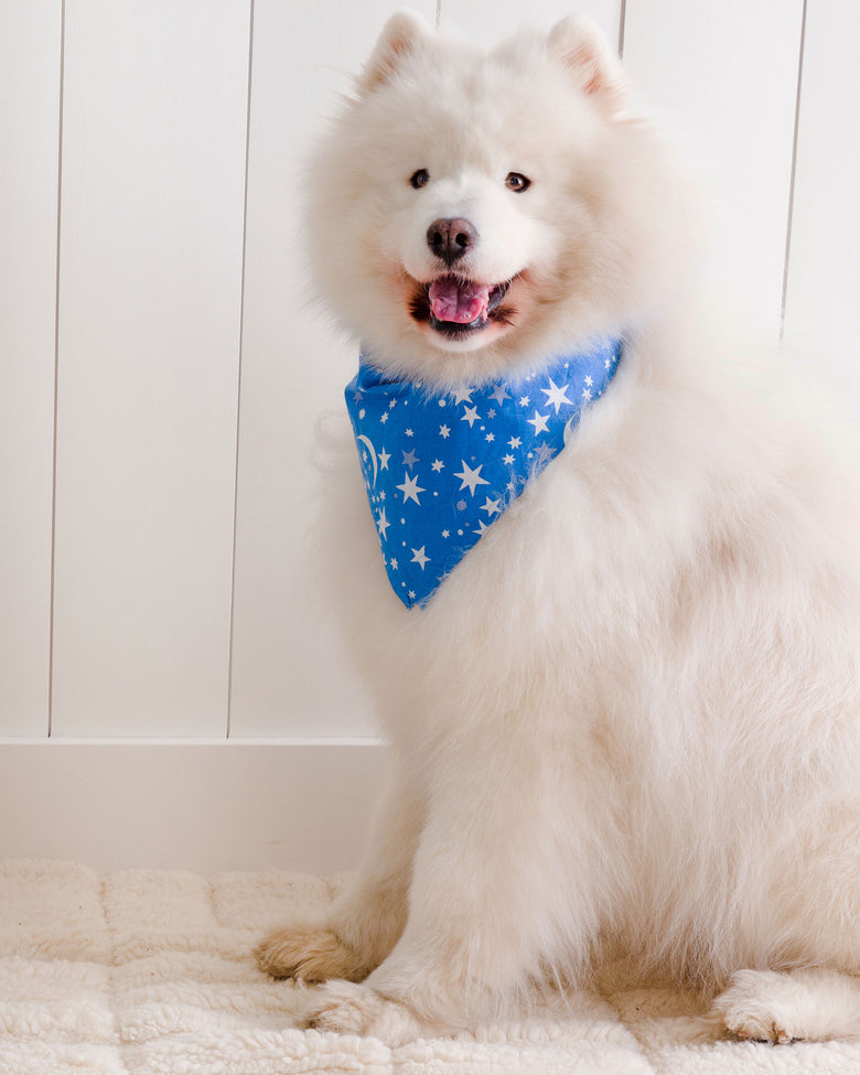 Celestial Skies - Pet Bandana - Beyond the Sea - Printfresh