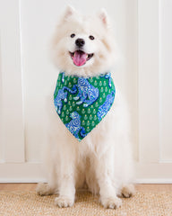 Tiger Queen - Pet Bandana - Jade - Printfresh