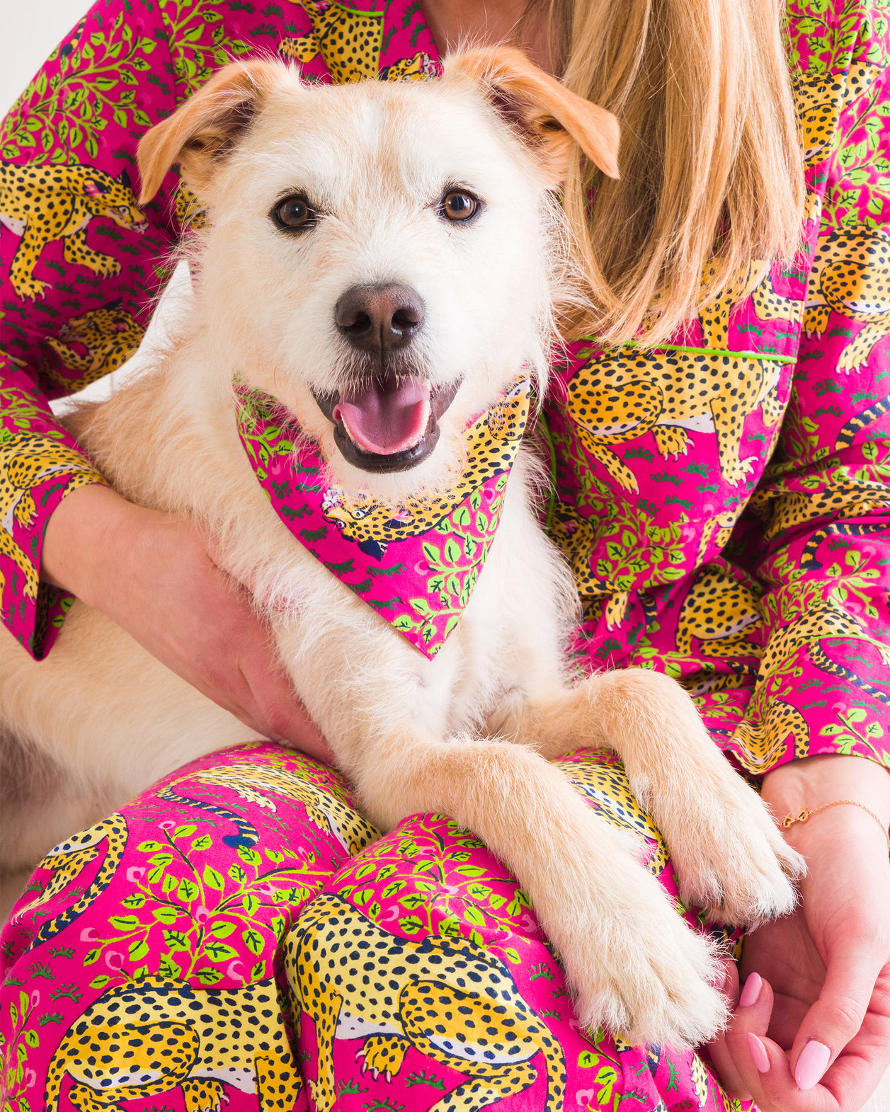 Bagheera - Pet Bandana - Hot Pink - Printfresh