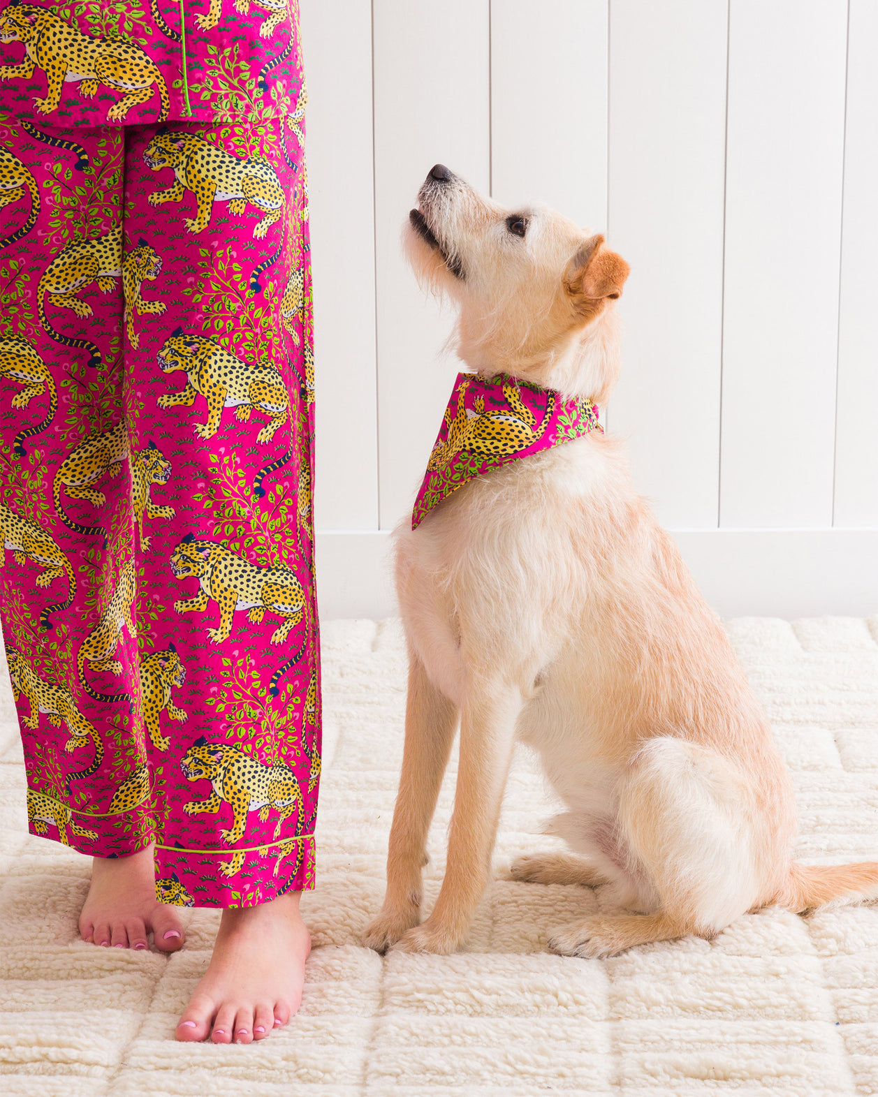 Bagheera - Pet Bandana - Hot Pink - Printfresh