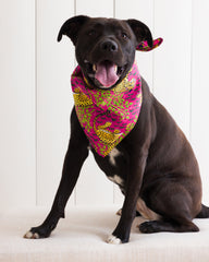 Bagheera - Pet Bandana - Hot Pink - Printfresh