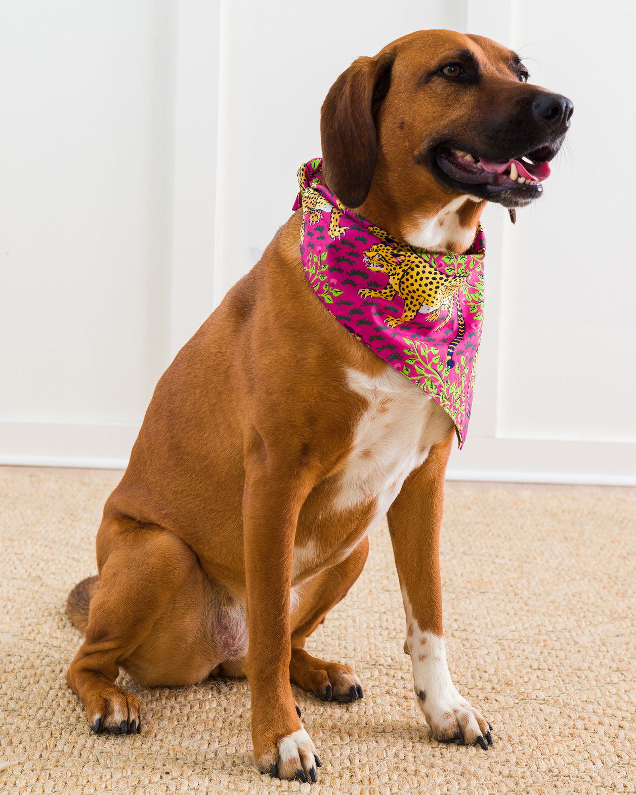 Bagheera - Pet Bandana - Hot Pink - Printfresh