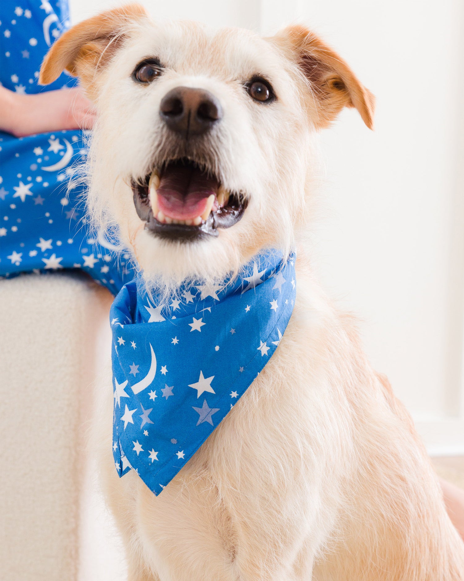 Celestial Skies - Pet Bandana - Beyond the Sea - Printfresh