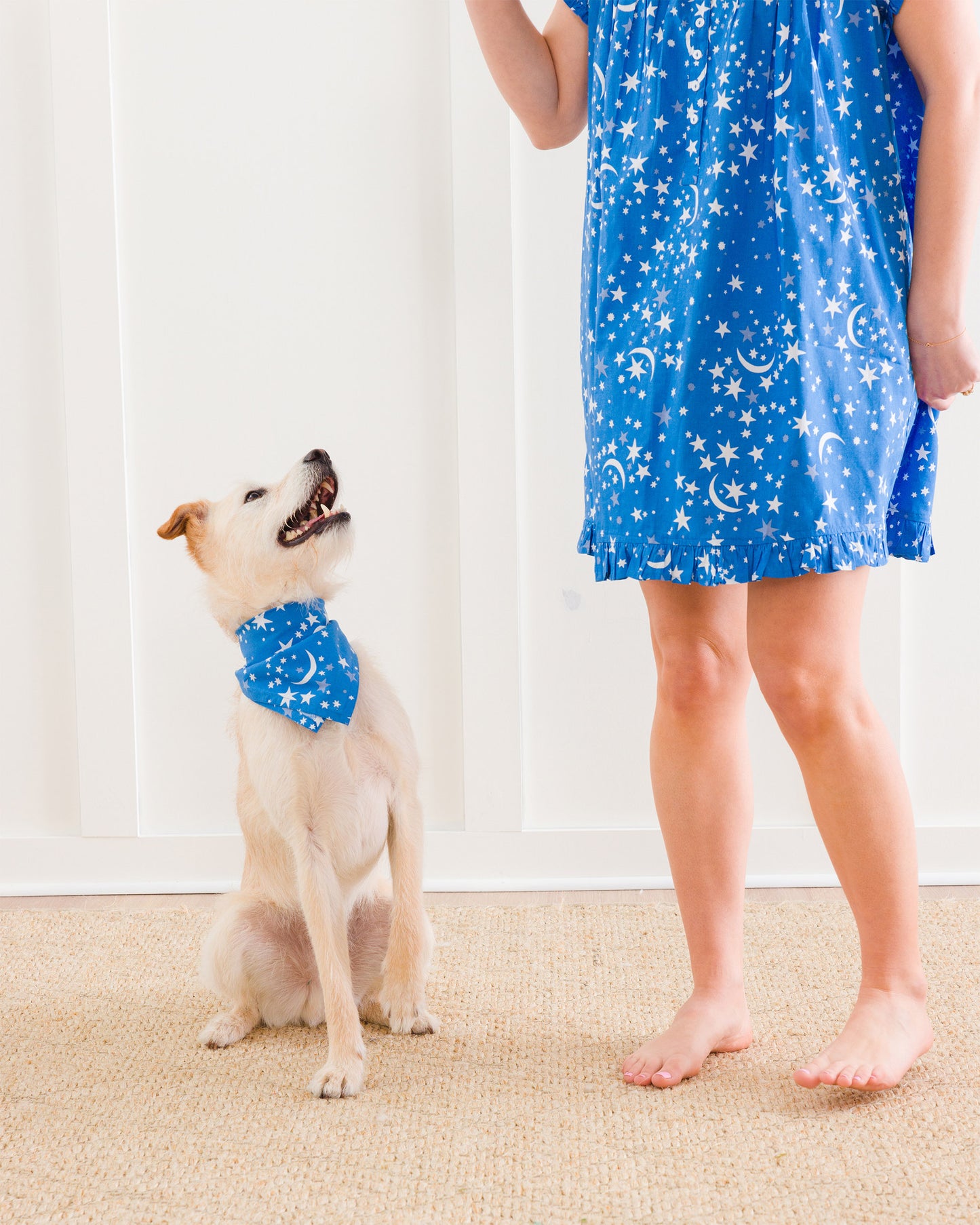 Celestial Skies - Pet Bandana - Beyond the Sea - Printfresh