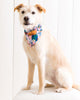 Good Dog - Pet Bandana - Vintage Rose - Printfresh