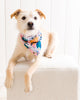 Good Dog - Pet Bandana - Vintage Rose - Printfresh