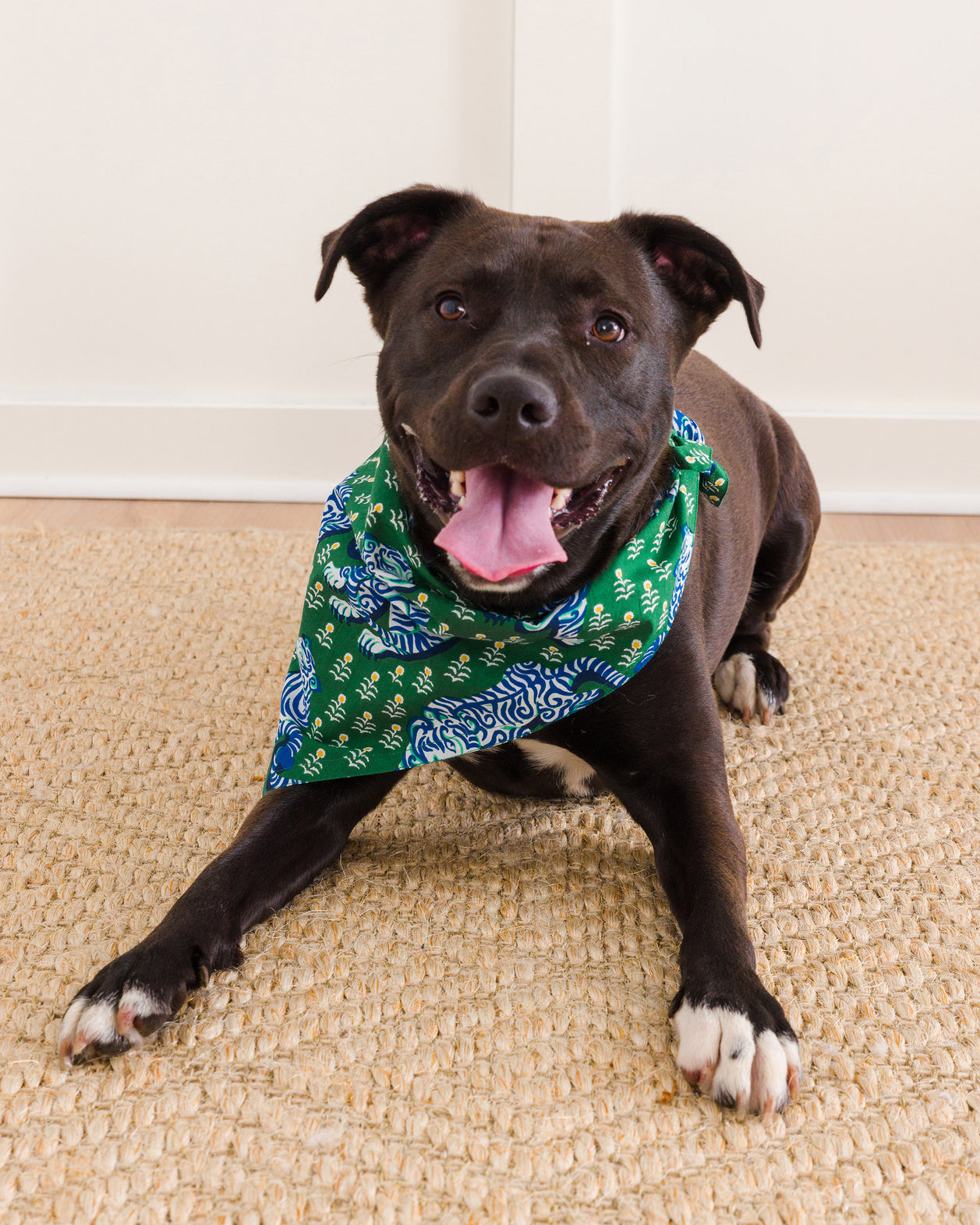 Tiger Queen - Pet Bandana - Jade - Printfresh