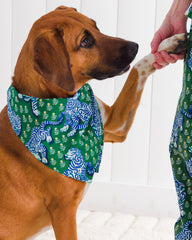 Tiger Queen - Pet Bandana - Jade - Printfresh