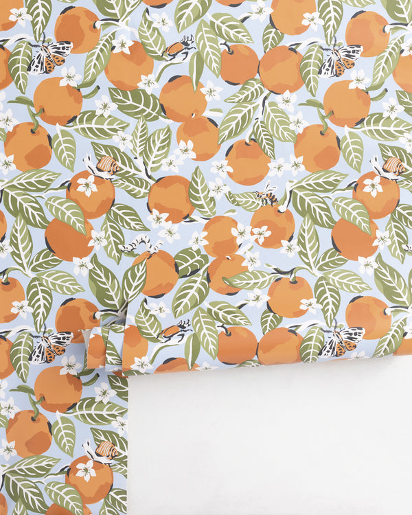 Orange Grove - Peel & Stick Wallpaper - Sky Blue - Printfresh