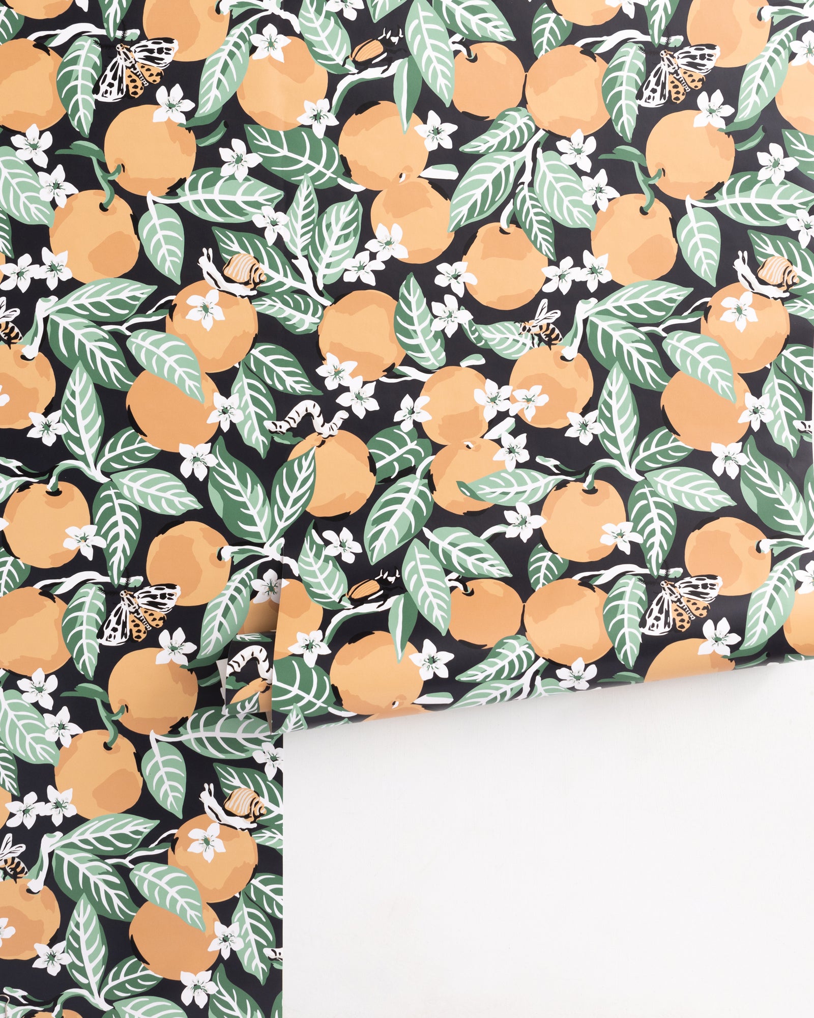 Orange Grove - Peel & Stick Wallpaper - Ink - Printfresh