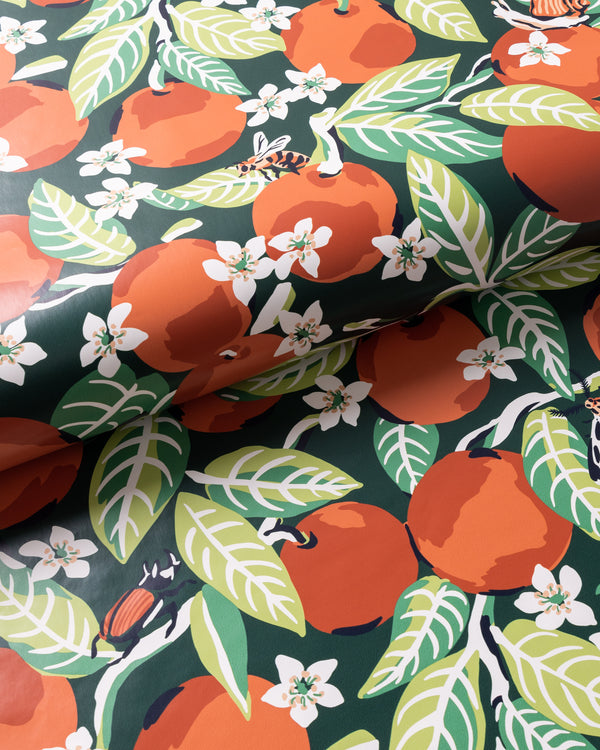 Orange Grove - Peel & Stick Wallpaper - Juniper - Printfresh